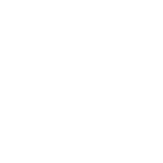 Professional Drivers